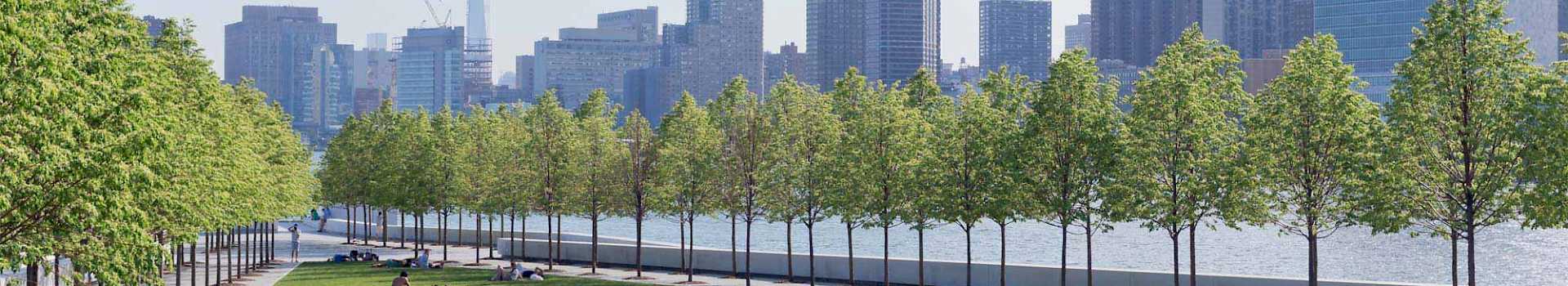 CANA Pave™ Resin Bonded Gravel Surfaces