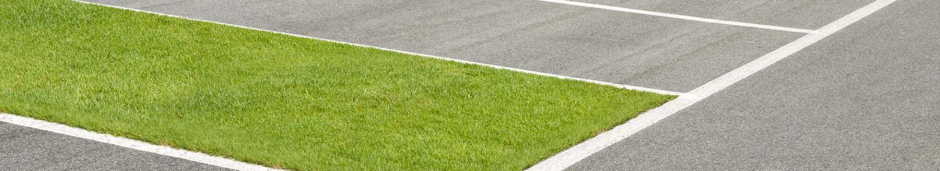 GD Grass Driveways