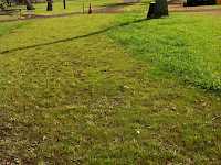 As the grasses grow in the resort returns to it's natural look.